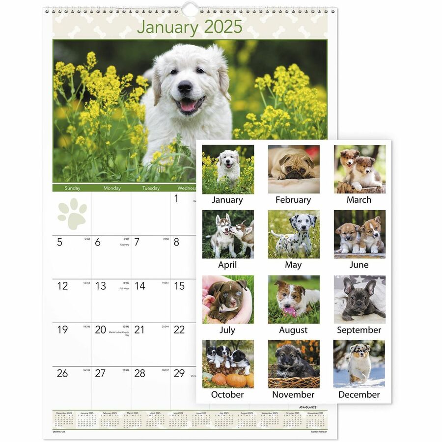 At-A-Glance Puppies Monthly Wall Calendar - Julian Dates - Monthly - 12 Month - January 2024 - December 2024 - 1 Month Single Page Layout - 15 1/2" x 22 3/4" Sheet Size - 2" x 2.13" Block - White - Chipboard, Paper - Hanging Loop, Full-color Photos of Puppies - 1 Each