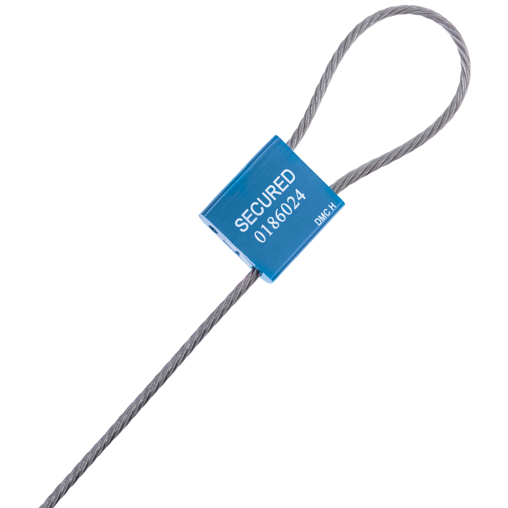 1/8 x 12" Cable Seals - Blue (SE1060BL) Case Of 50