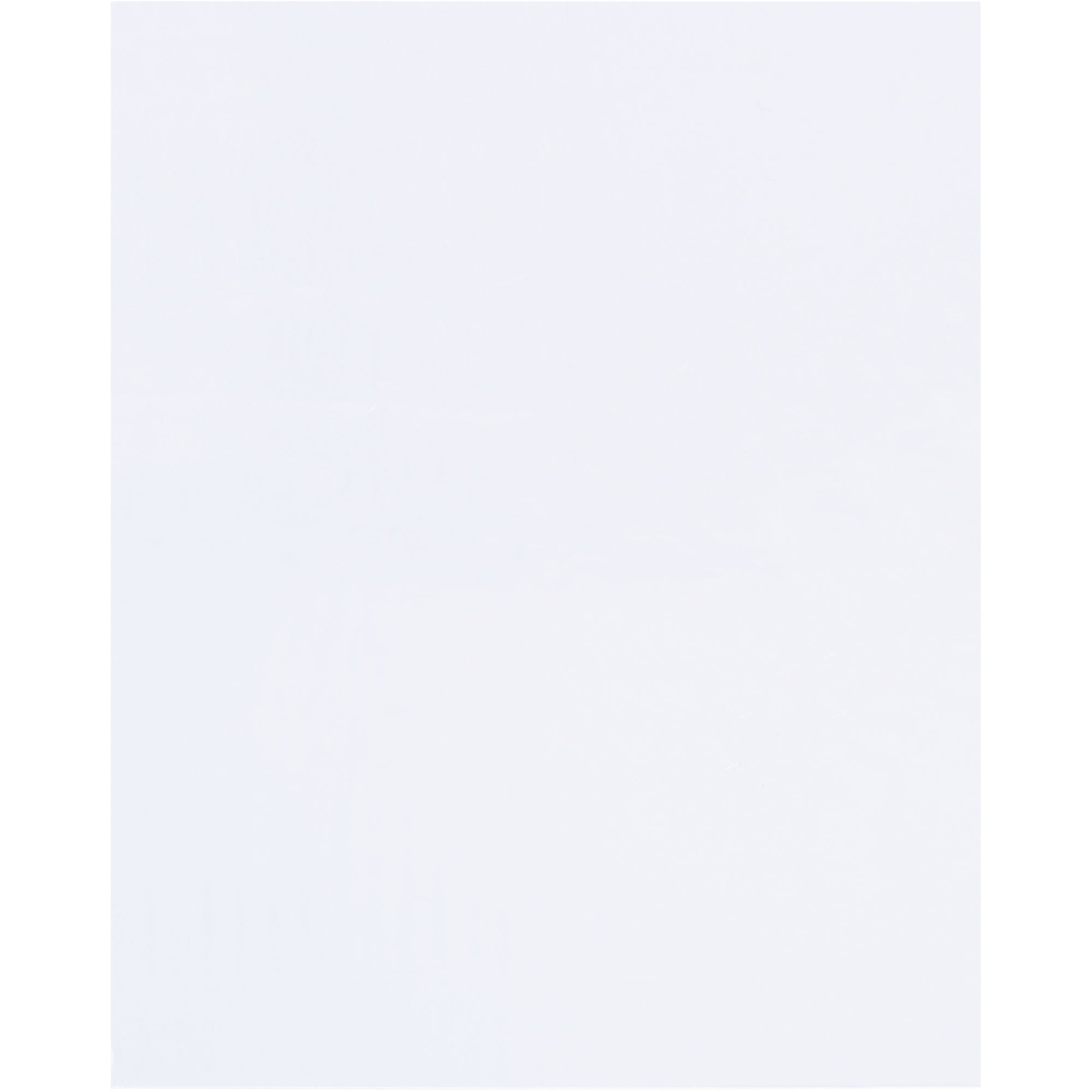24 x 30" - 1.5 Mil Flat Polypropylene Bags (PZ480) Case Of 500