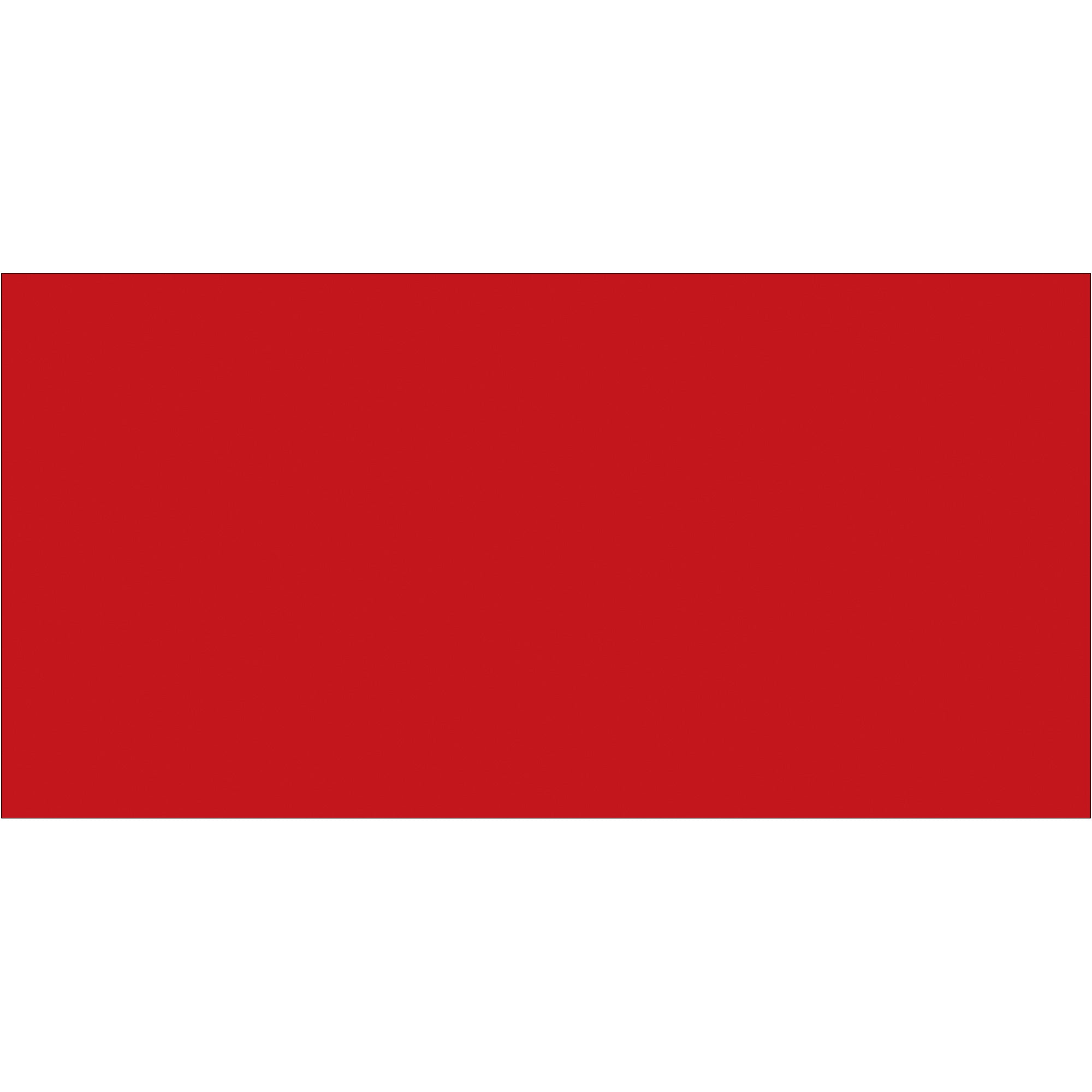 3 x 6" Red Inventory Rectangle Labels (DL633A) Roll Of 250