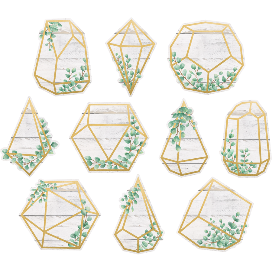 Eucalyptus Geometric Terrarium