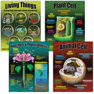 Teacher Created Life Science Poster Set (P 077)
