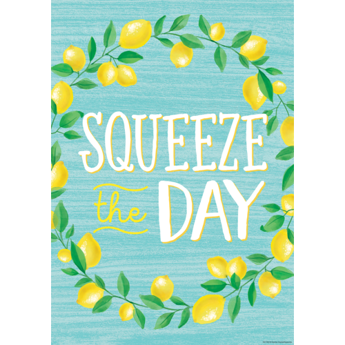 Teacher Created Squeeze the Day Positive Poster 13" x 17"  (TCR7955)
