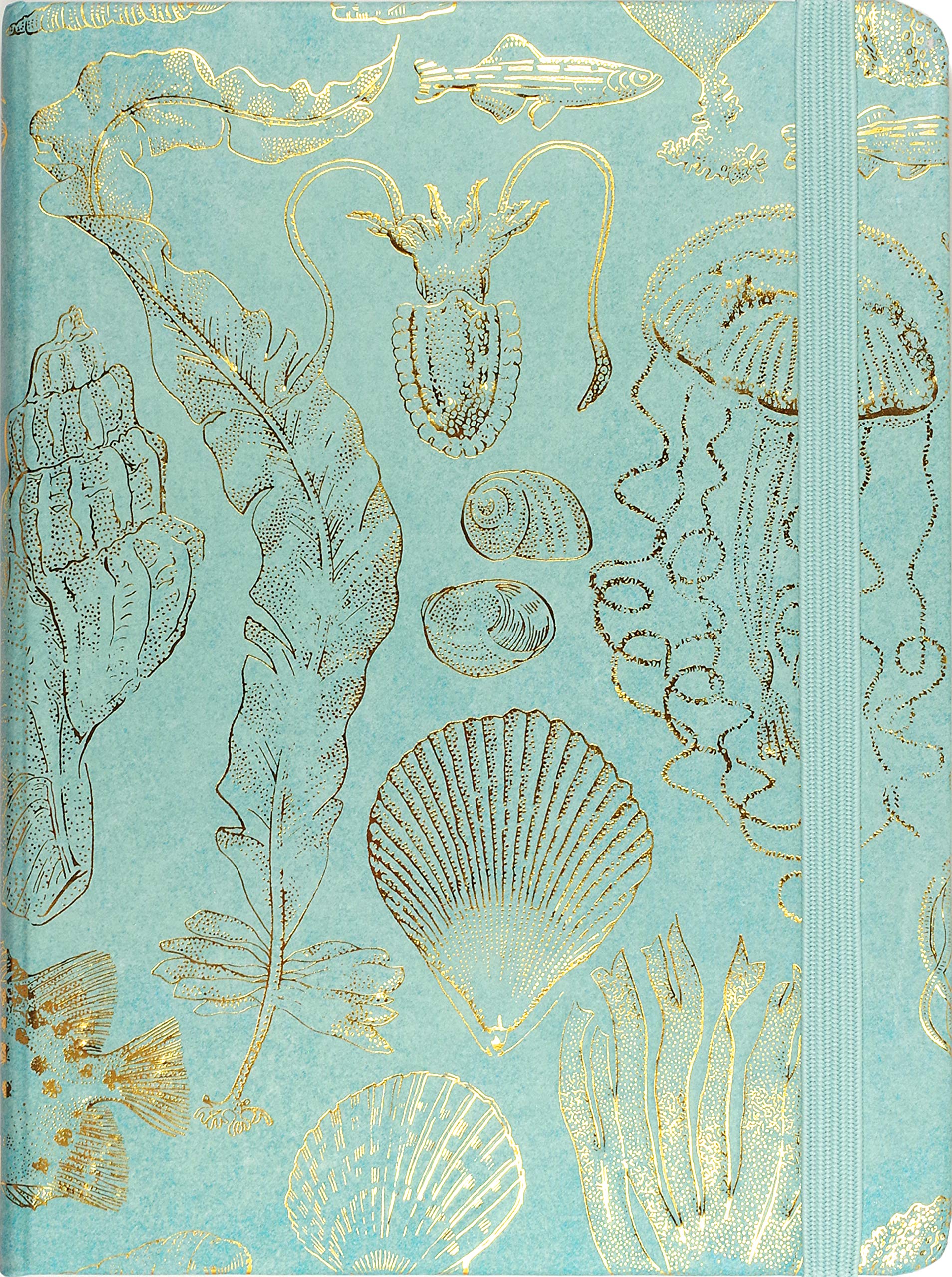 JOURNAL - MID SEALIFE SKETCHES