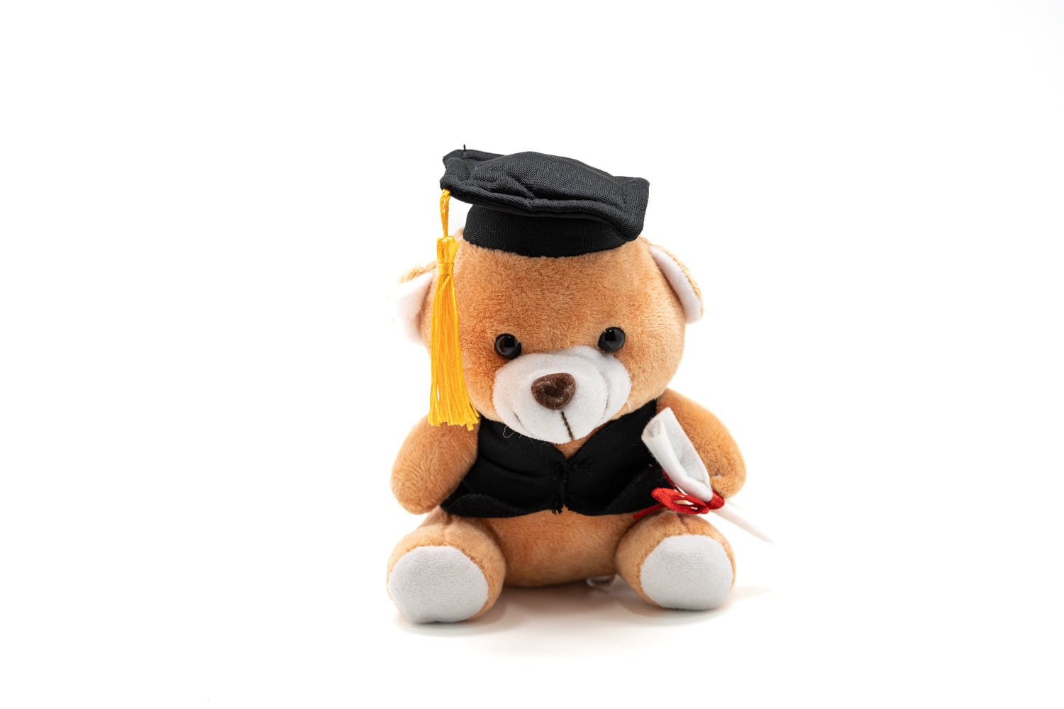 16cm Graduation Soft Bear (Name Printing)Assorted