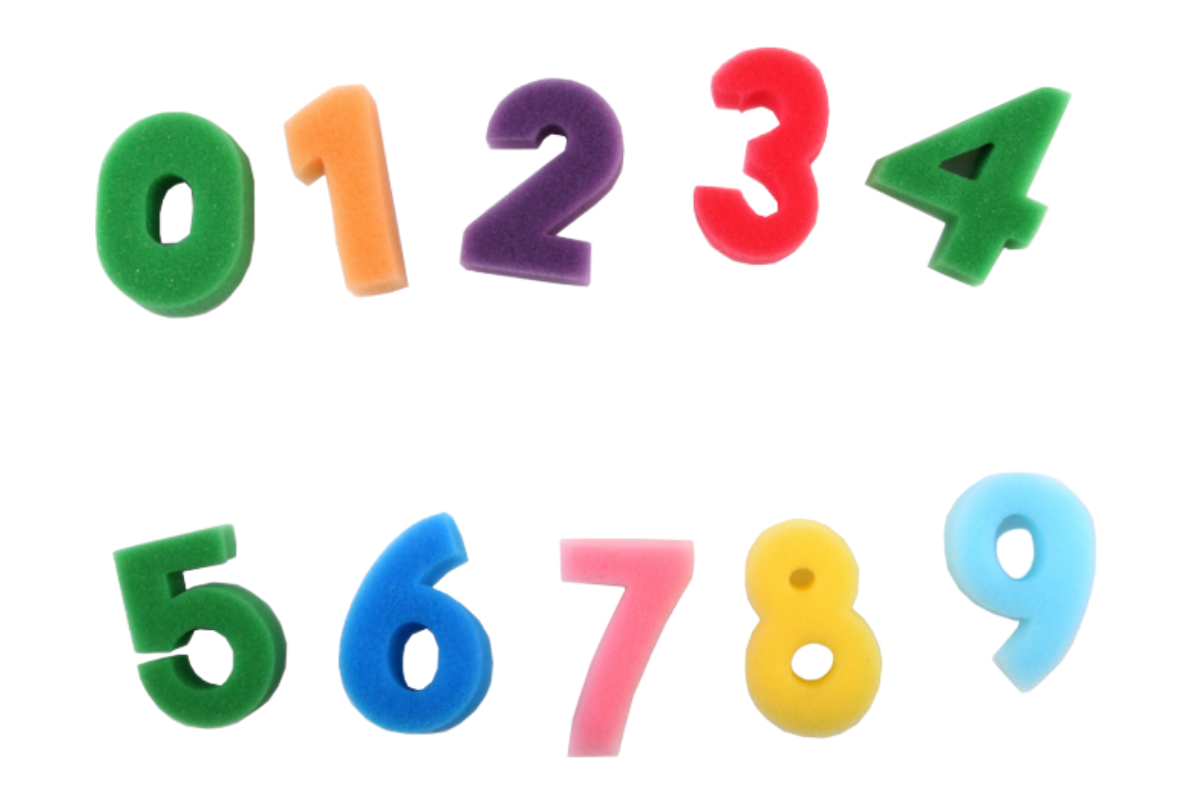 Number Design Painting Sponge StampAssorted
