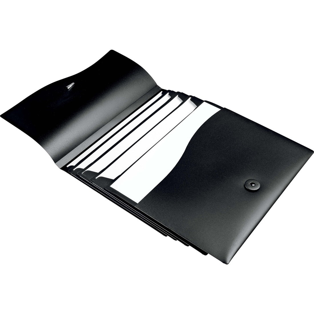 Avery® Slide & View Expanding Pocket File
