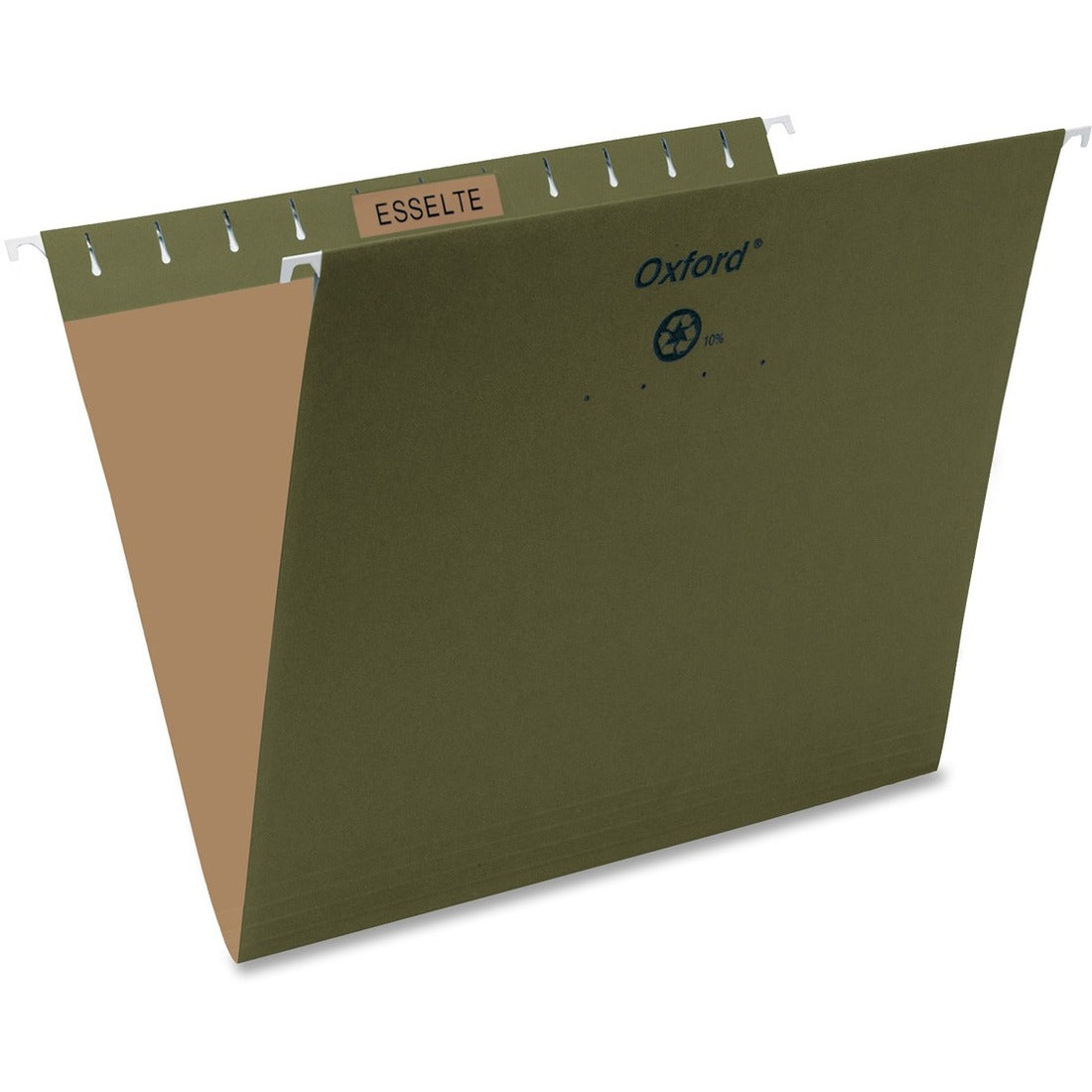 Pendaflex Hanging File Folder