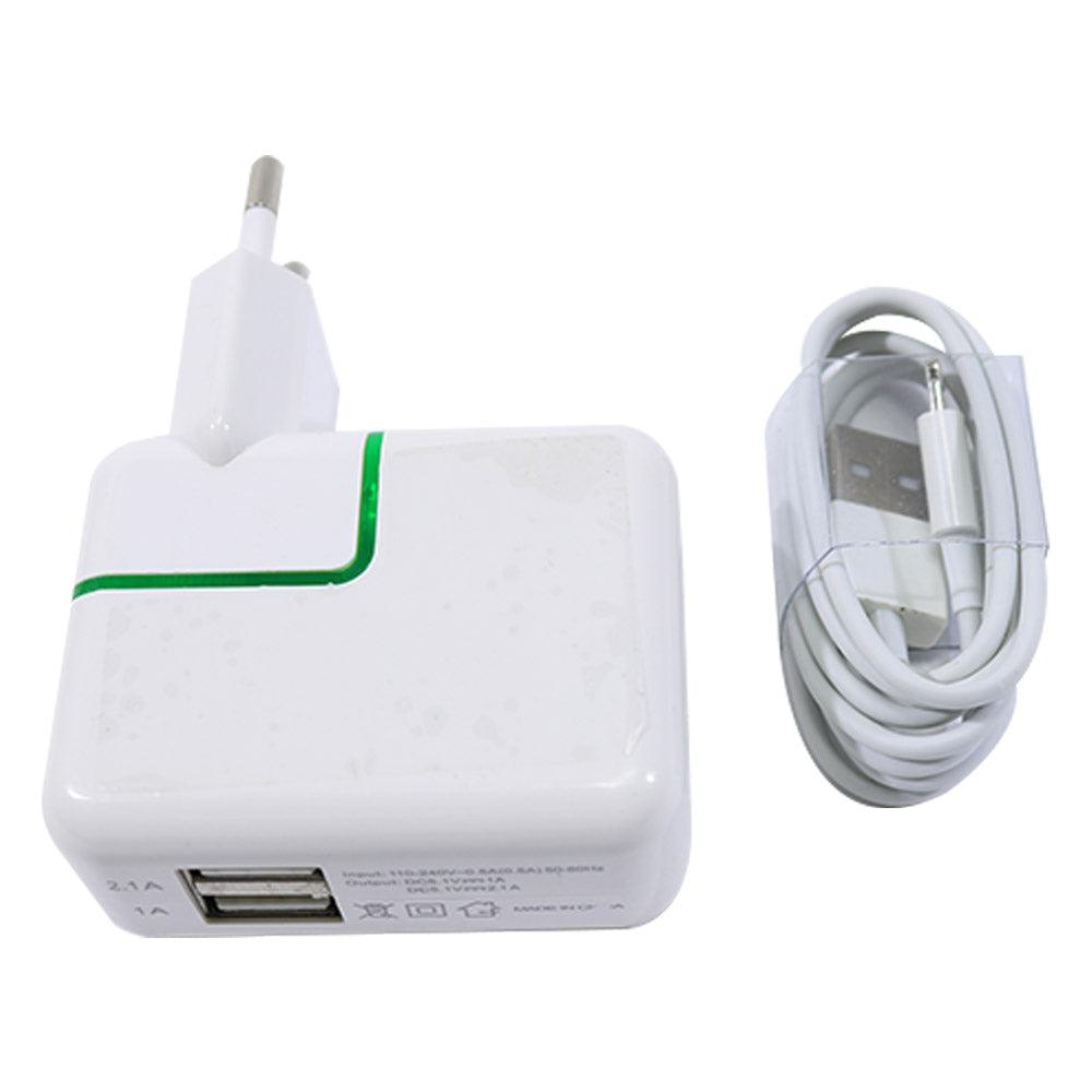 10W Charger 2 USB Power Adapter With IOS Cable