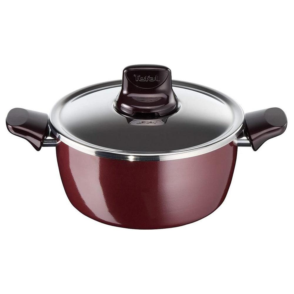 Tefal Pleasure Stewpan 22 cm   Stainless Steel Lid / D5024562