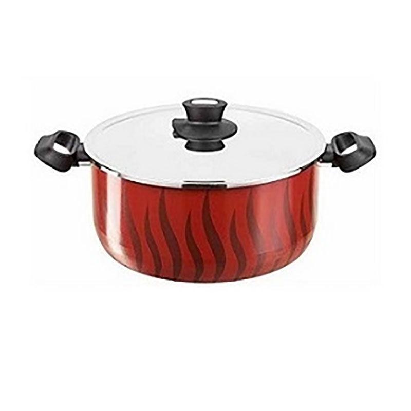 Tefal Tempo Flame Dutch Oven 24 cm   Stainless Steel Lid / C5484683