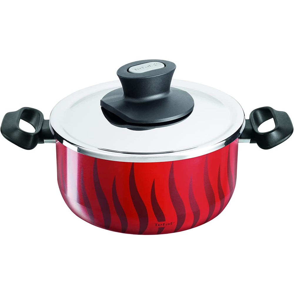 Tefal Tempo Flame Stew Pot 20 cm   Stainless Steel Lid / C3044483